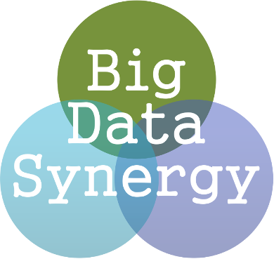 Big Data Synergy